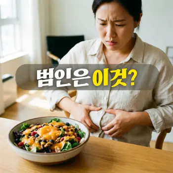범인은 이것?
건강해 보이는 과일 주스와 드레싱이 듬뿍 뿌려진 샐러드 보울을 앞에 두고 앉아, 자신의 뱃살을 잡으며 당혹스럽고 고민에 빠진 표정을 짓고 있는 30대 한국인 여성의 모습.