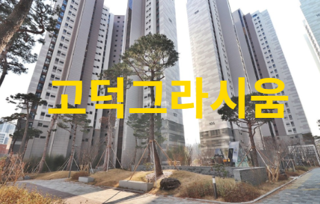 고덕그라시움