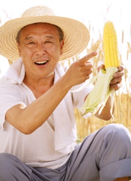 농지연금