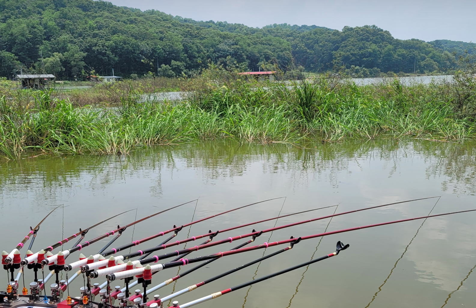 붕어낚시터-사진