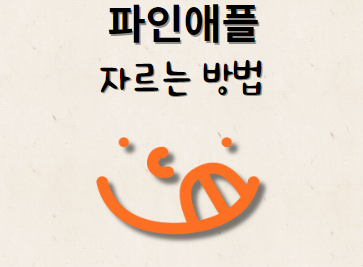 파인애플 자르는 방법