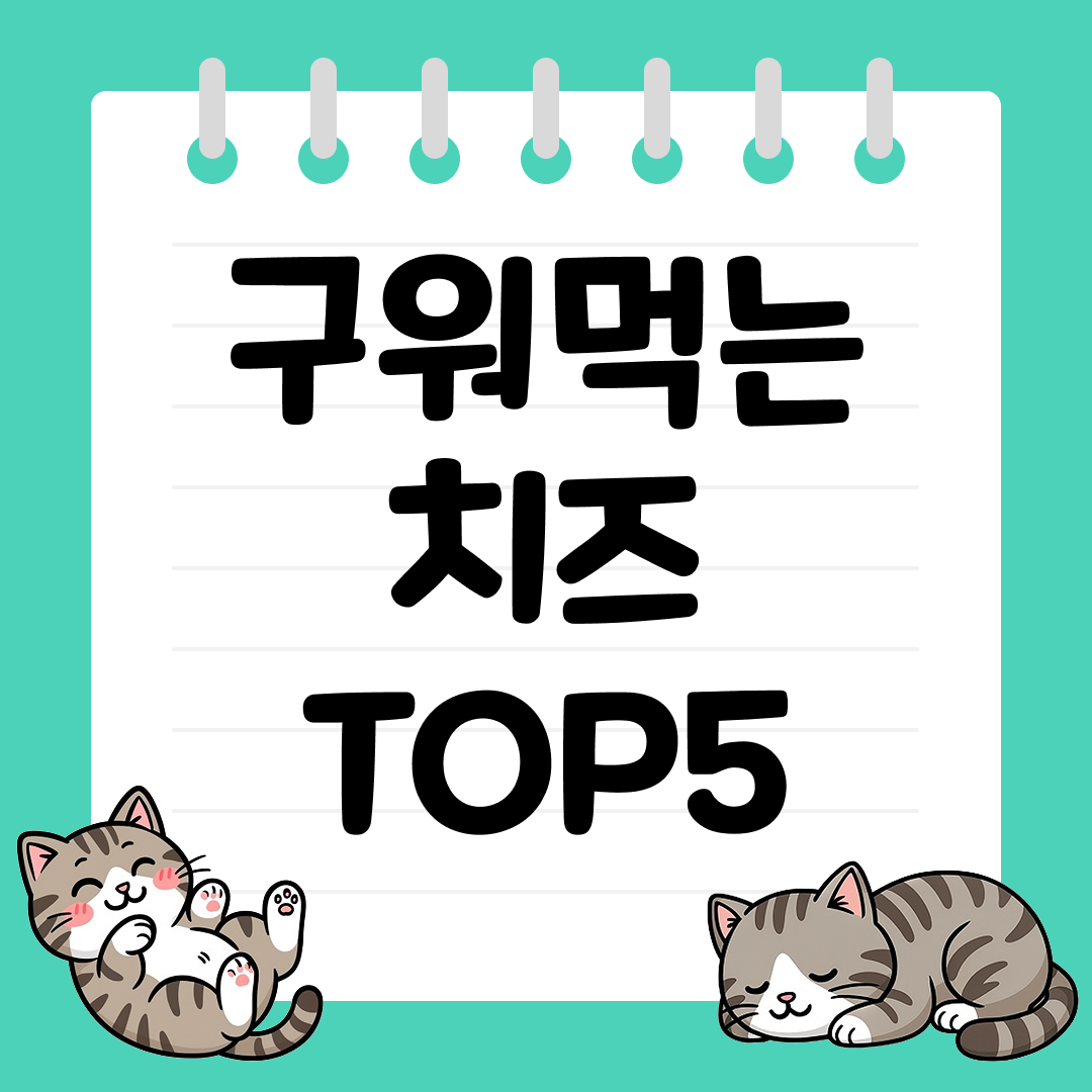 야식과 안주로 좋은 구워먹는 치즈 추천 순위 TOP5