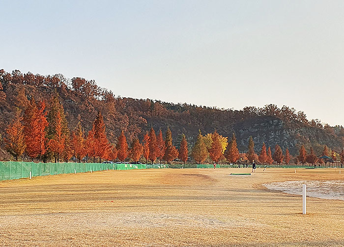 경상북도 영천시 영천조교파크골프장 소개 (공인 인증 구장)