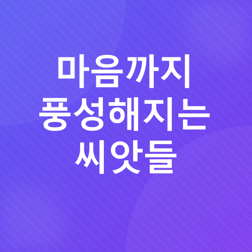 샐러드채소 키우기_2