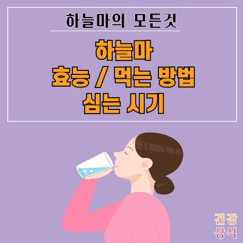 하늘마 효능 먹는 방법 심는 시기