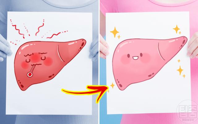 알부민 효능 영양제 효과 있나요 간 건강