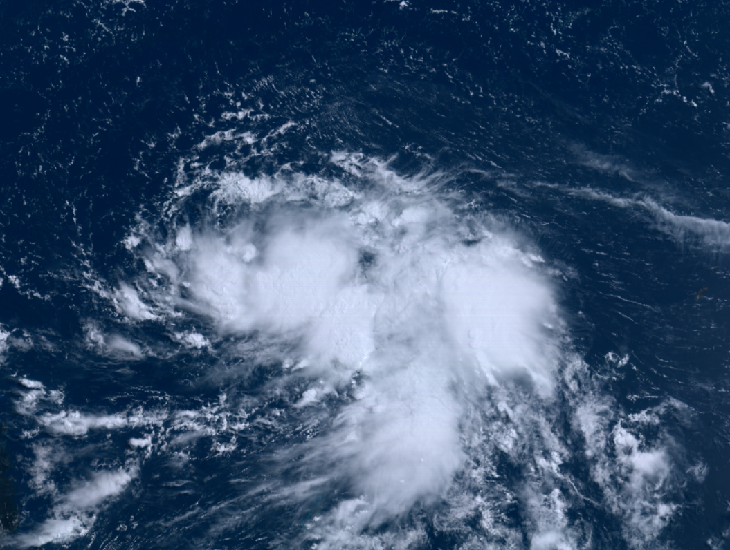 태풍 독수리 가시 영상