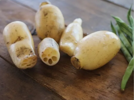 비타민C가 풍부한 연근