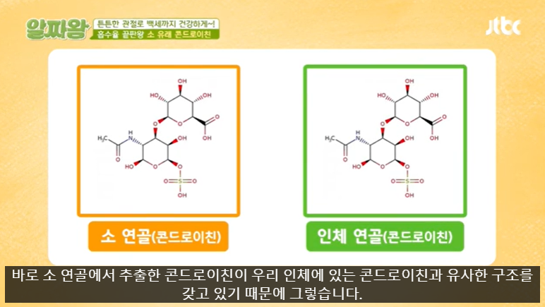 콘드로이친 효능 부작용 복용법
