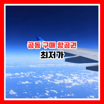 최저가 공동 구매 항공권