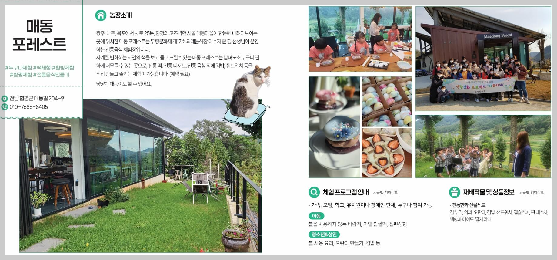 함평 나비대축제, 함평에서 놀자, 주변 맛집 카페 체험 활동 (총정리)