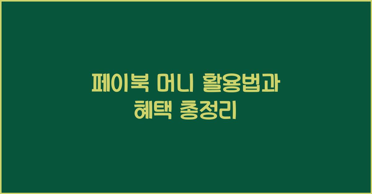 페이북 머니