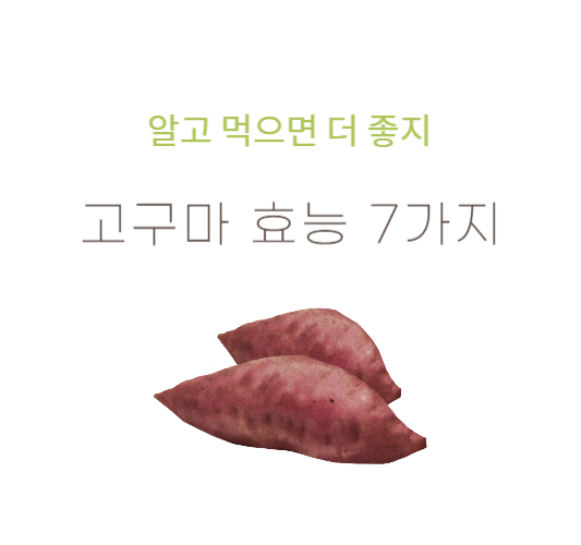 고구마효능