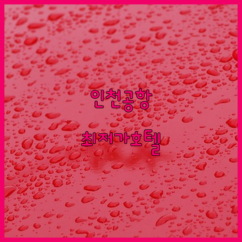 직접 다녀온 인천공항 인근 호텔 Be..