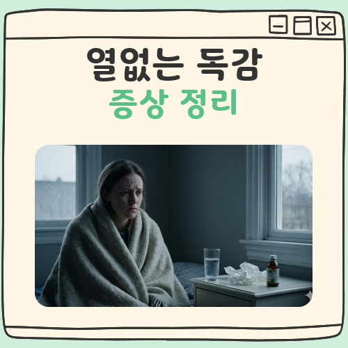 열없는 독감 증상 대표 이미지