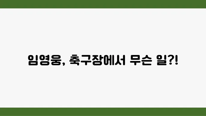 임영웅 팬들의 반응