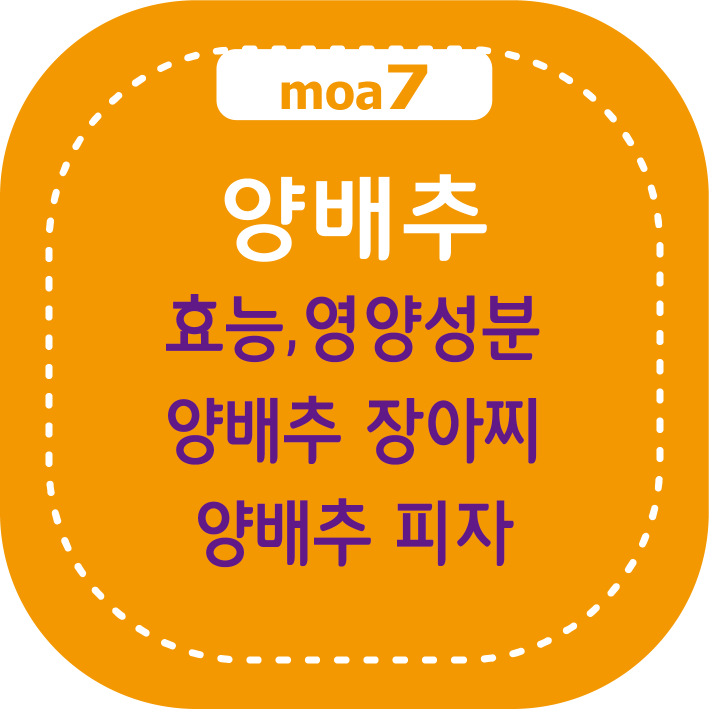 양배추 효능, 영양성분, 양배추 장아찌, 양배추 피자