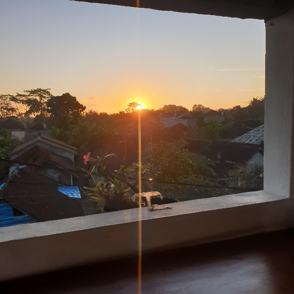 루프탑 창문처럼 생간 사각틀 태양이 보인다. 태앙은 산을 넘어가고 있다. 그 지평선에는 큰 나무 하나가 솟아있다.