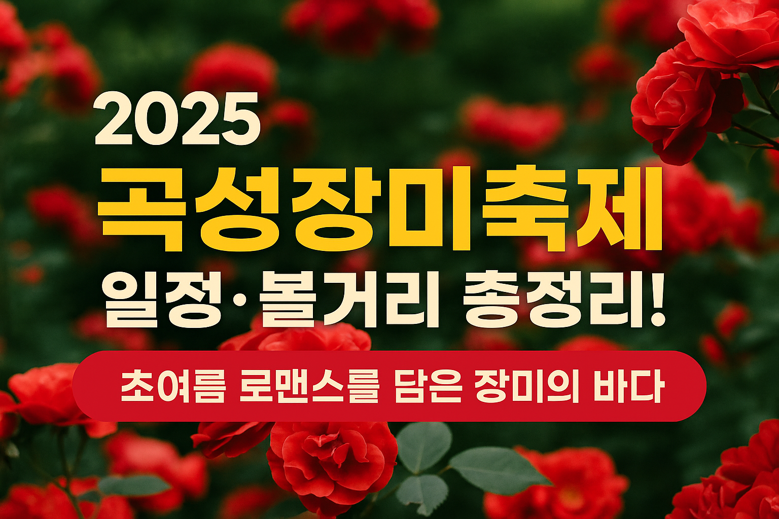 2025 곡성장미축제 일정·볼거리 총정리!