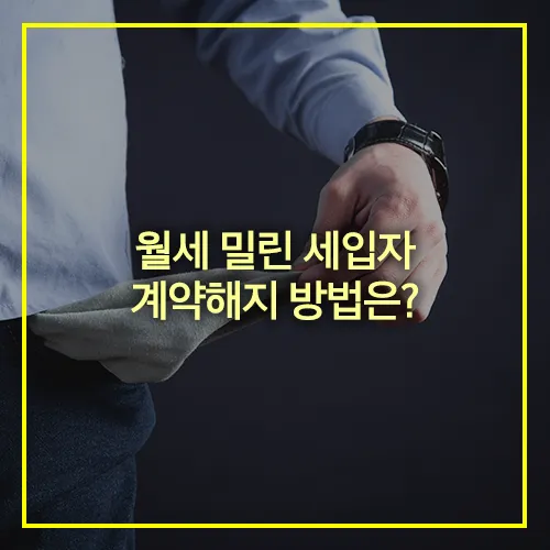 월세 밀린 세입자 계약해지 방법