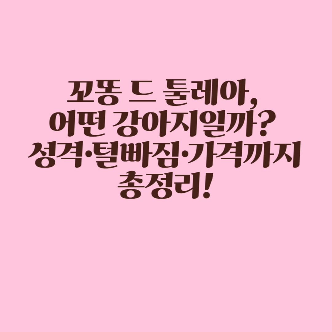 꼬똥 드 툴레아