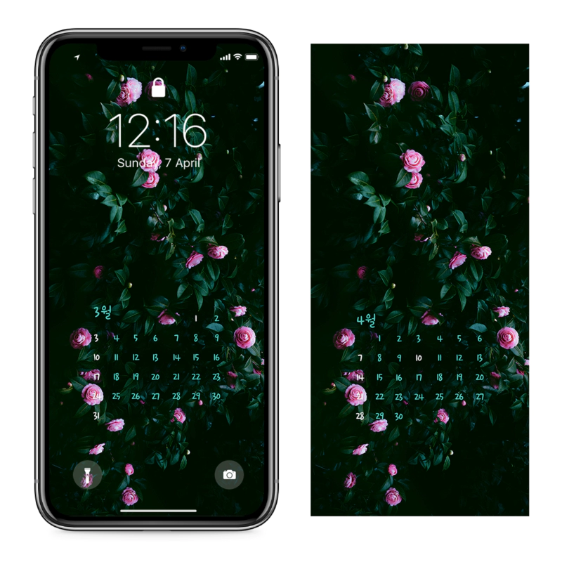 08 동백꽃나무 AB - 2024년3월 아이폰달력배경화면