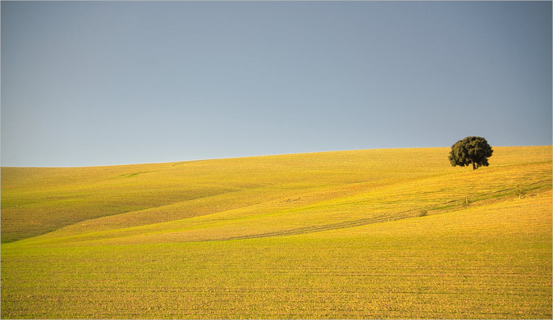 경기 버스노선 검색, 경기 버스정보 홈페이지 바로가기