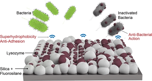 강아지 매트 시공