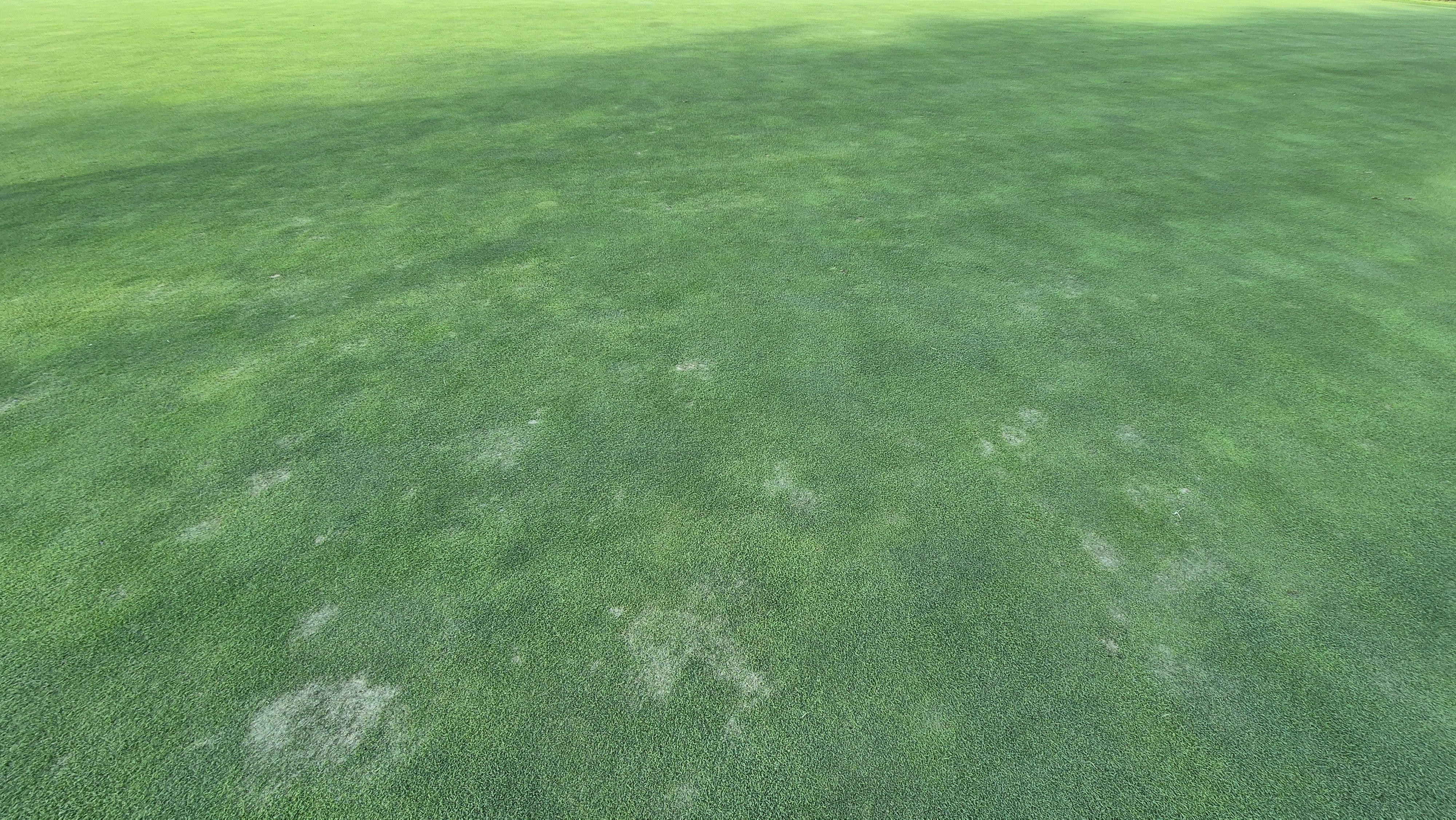 골프존카운티 화랑 라운드 후기