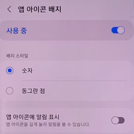 배지-스타일-설정