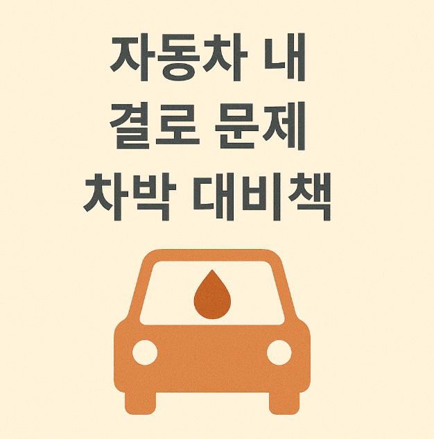 자동차 내 결로 문제와 차박 대비책 관련 이미지 사진