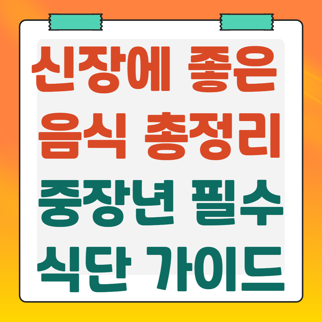 신장에-좋은-음식-총정리-중장년-필수-식단-가이드