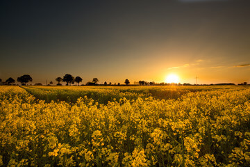 농지연금 가입 조건 수령액 계산 신청방법 