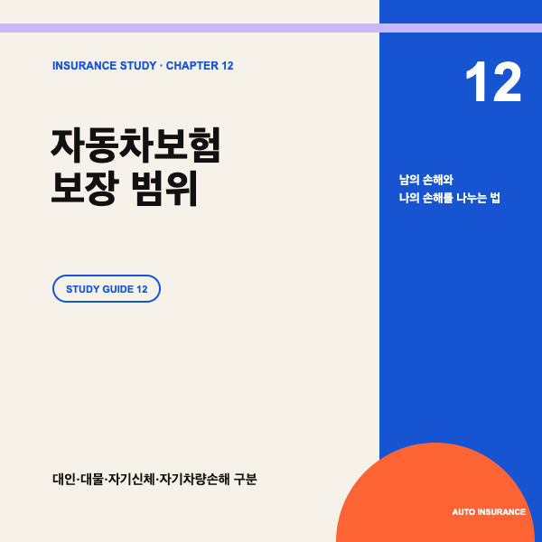 자동차보험 보장 범위, 대인&middot;대물&middot;자기신체&middot;자차 차이