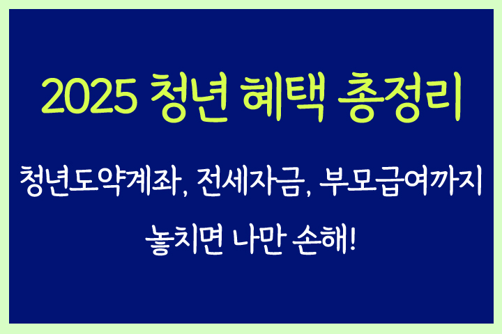2025 청년복지 청년혜택