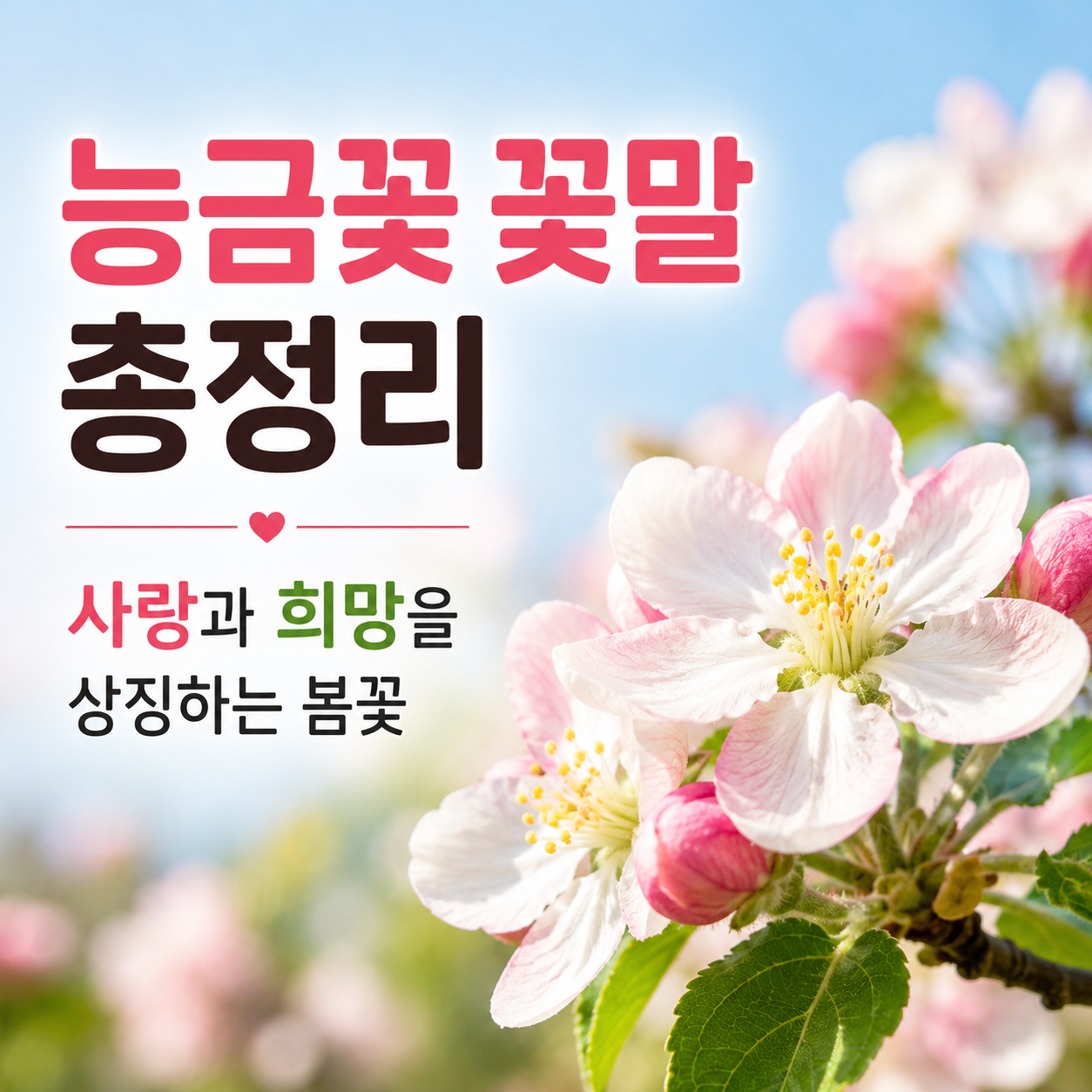 능금꽃 꽃말