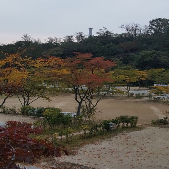 초안산 캠핑장