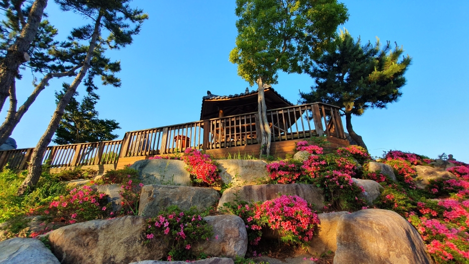 완도 가볼만한곳 베스트10