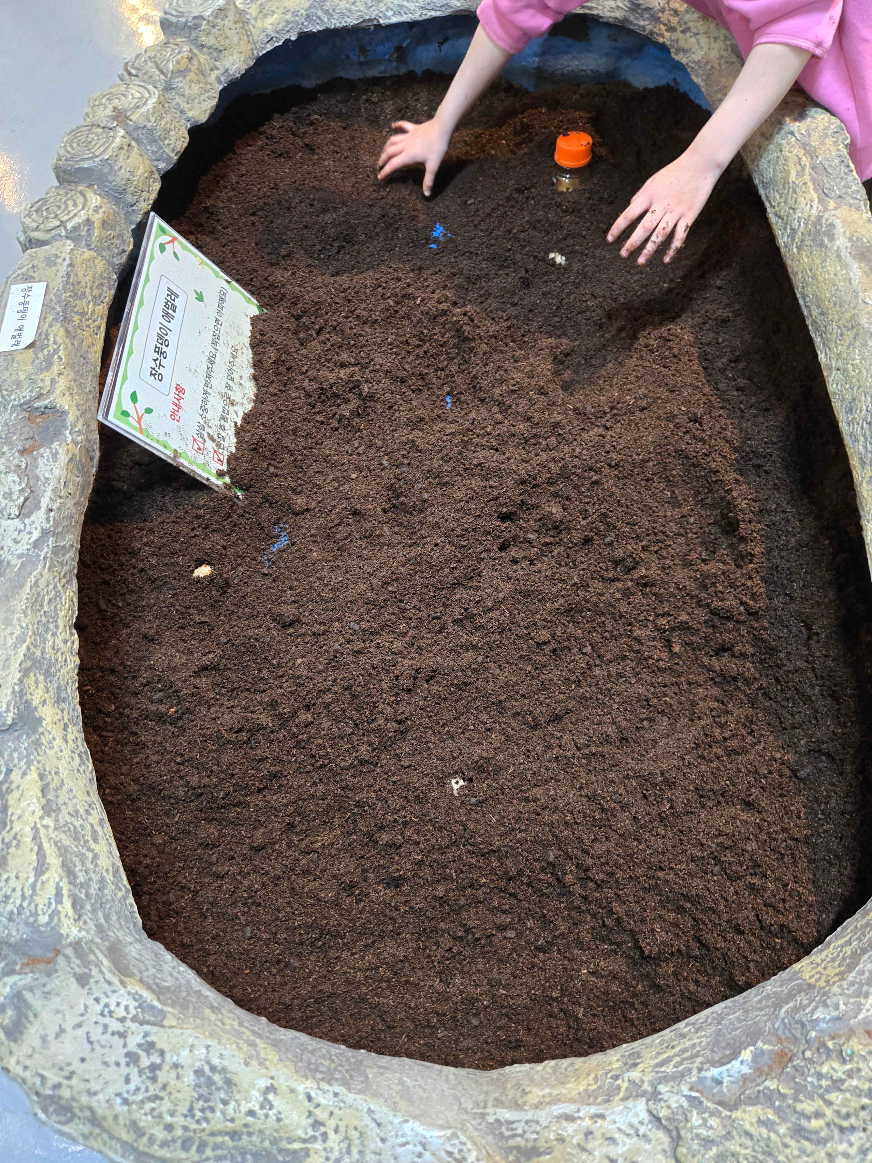 광주벅스랜드 유충