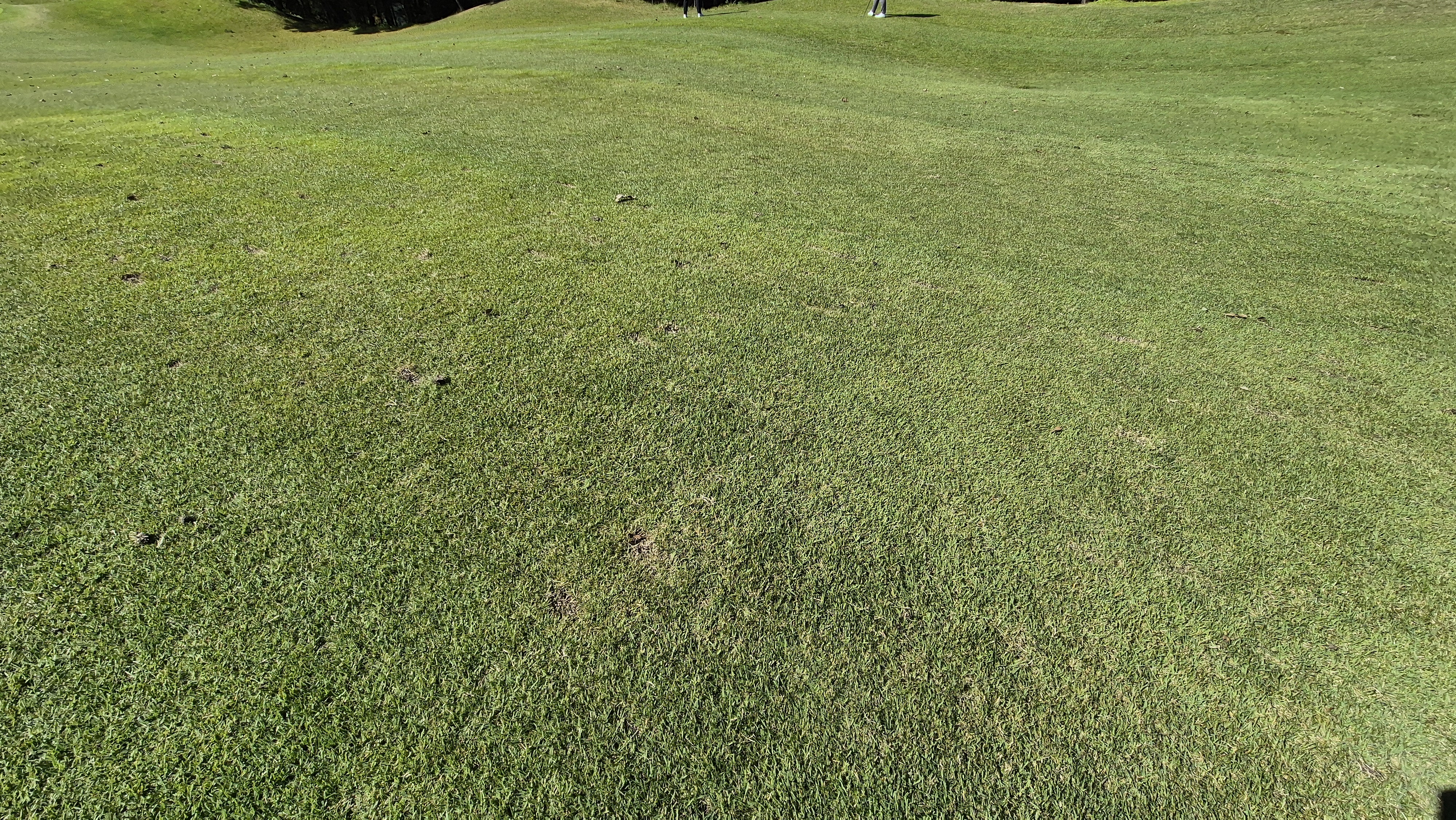 떼제베cc 동-북 코스 난이도