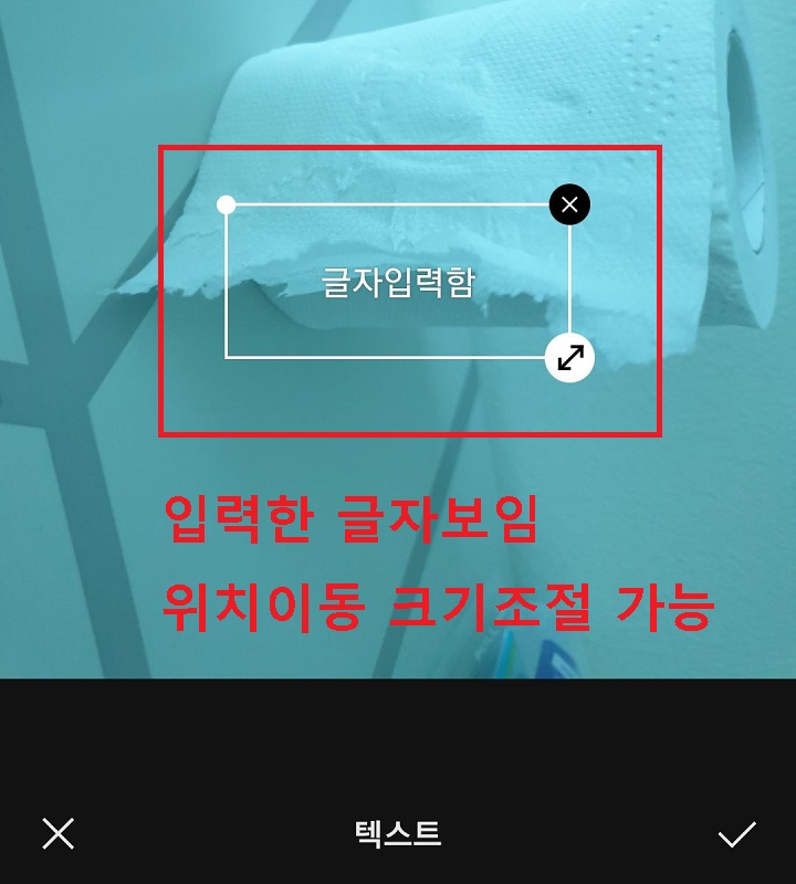 입력한 글자보임