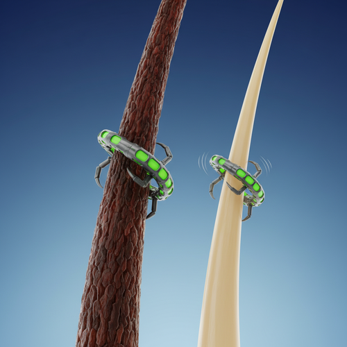 사면발이가 머리카락에 번질 수 있을까요? 핵심 진실