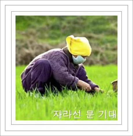 어버이날 노래