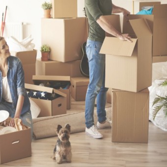 이사 견적 비교 사이트