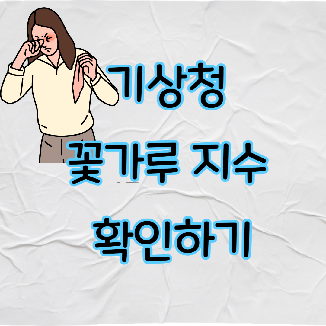 기상청 꽃가루 지수 확인