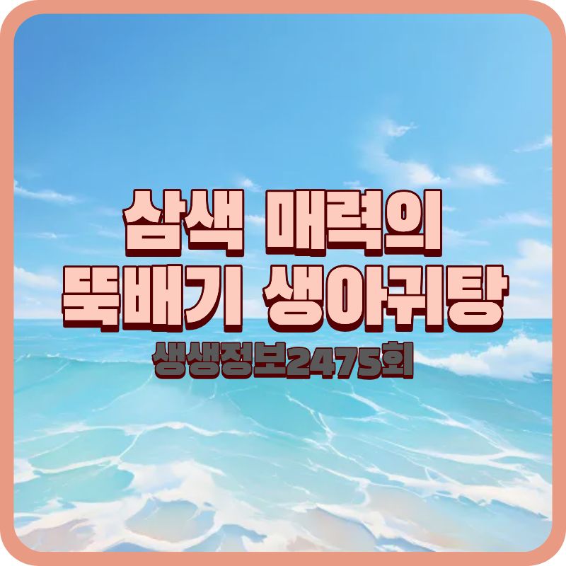 생생정보 2475회 장사의 신, 강남 임자 삼색 매력의 뚝배기 생아귀탕