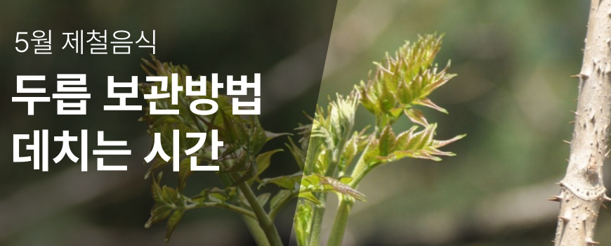 5월 제철음식 두릅 데치는 시간 보관방법