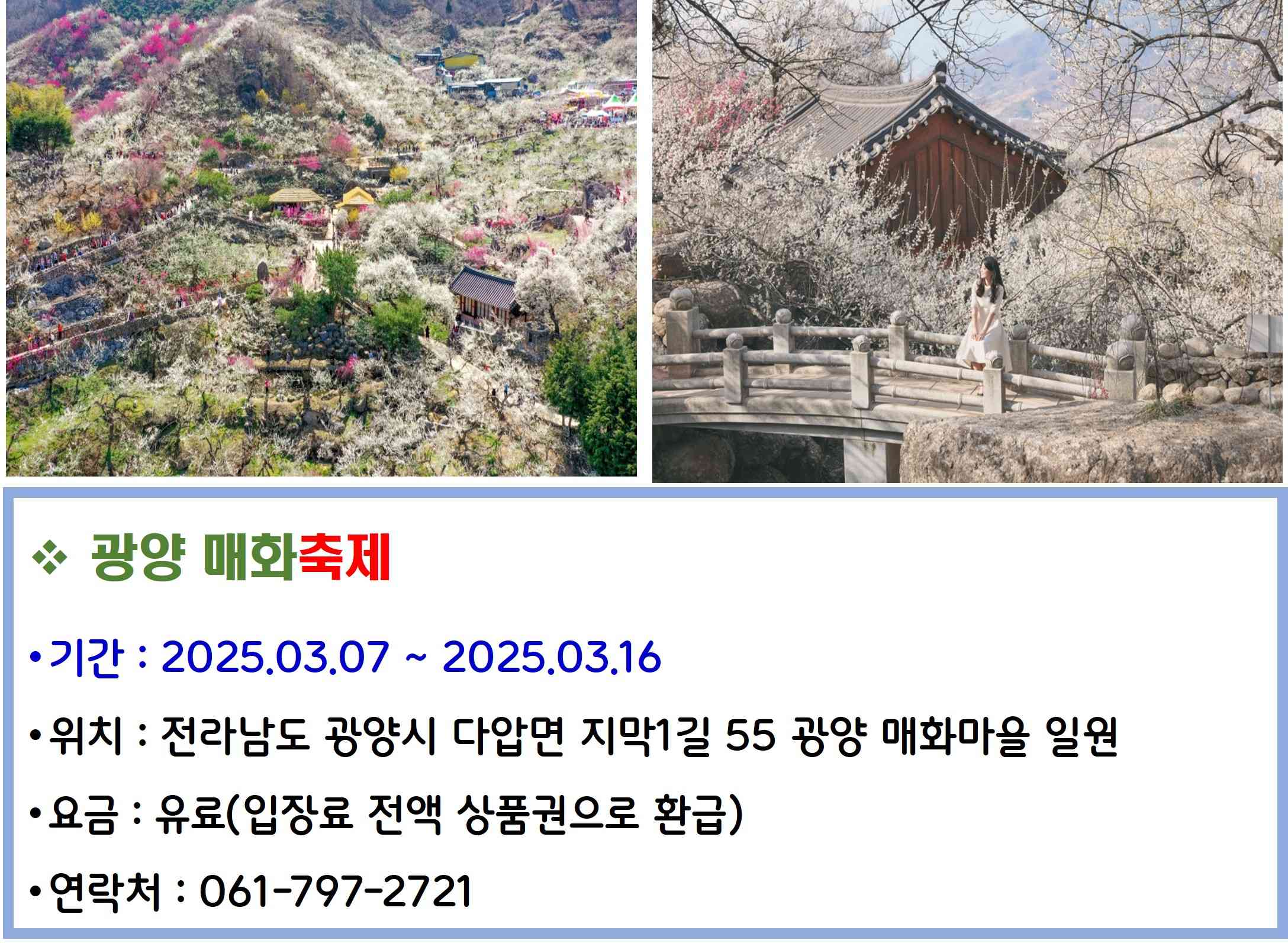 광양 매화축제