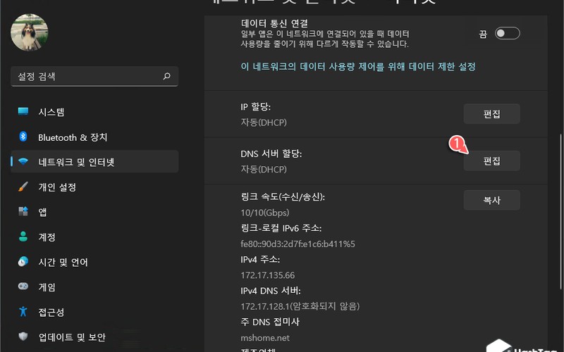 윈도우11 DoH DNS 암호화 설정 방법 및 보안 최적화 가이드 - 시