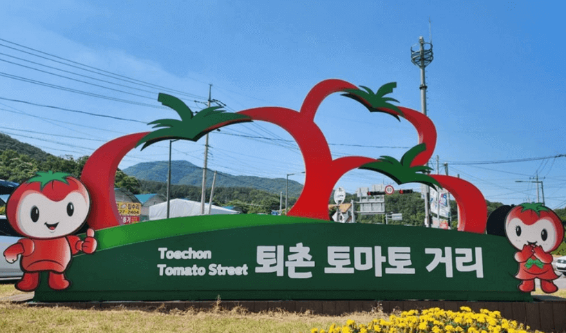 2025 퇴촌 토마토 거리축제, 일정, 프로그램, 행사, 참가비